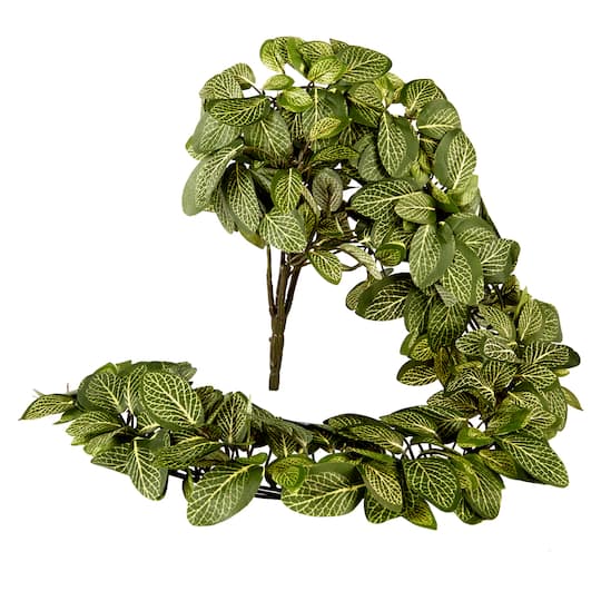 8 Pack: Fittonia Hanging Bush by Ashland®